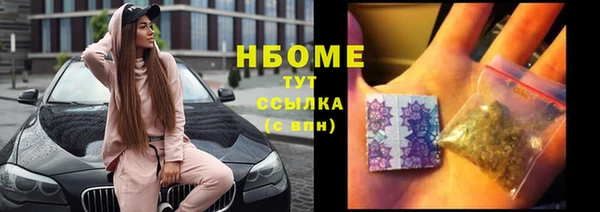 стафф Алзамай