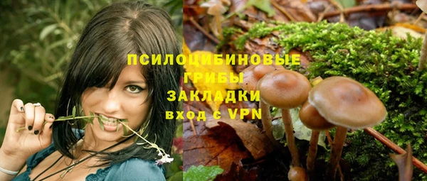 ECSTASY Алексеевка