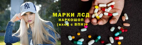 стафф Алзамай